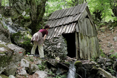 Frau schaut in kleine Holzhütte im Wald am Wegesrand