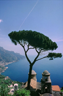 Blick von Ravello auf die Küstenlinie - kaum ein Motiv steht so für die Amalfiküste wie dieses Foto mit der Pinie.