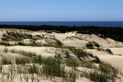 Der Sand ist großflächig von störrischen, violetten Gräsern und harten, an die trockene Lebensweise angepassten Gewächsen überzogen.