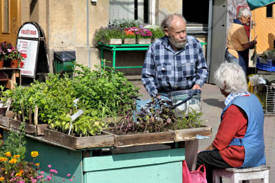Frauen bieten auf dem Martplatz verschiedene Gemüse an.