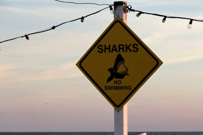 Warnschild vor Haien am Strand von Liepaja
