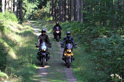 Drei Motorradfahrer kommen einen Waldweg herunter