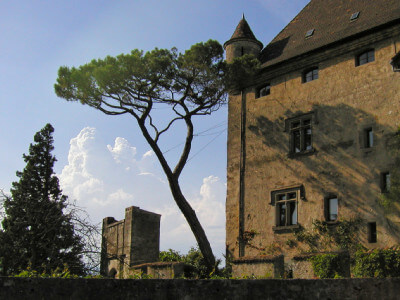 Blick auf die alte Festung in Yvoire mit großem Baum