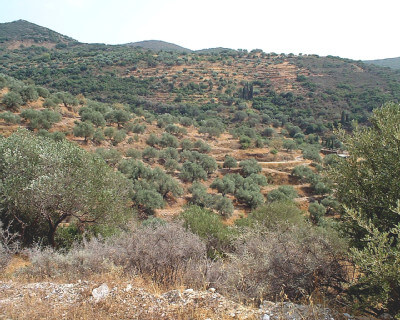 Landschaftsaufnahme mit der angeblichen Burg des Odysseus