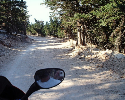 Motorrad fährt unbefestigte Straße zwischen Bäumen