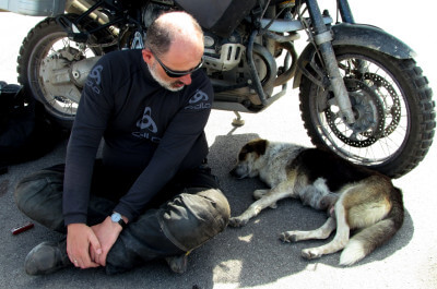 Motorradfahrer und Hund dösen im Schatten des Motorrades im Hafen von Tanger