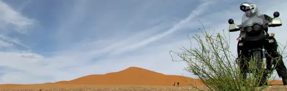 Erg Chebbi – Einsatz für die TKC-Reifen! Motorradfahrer steht in der Wüste Erg Chebbi vor grünem Strauch und im Hintergrund Dünen
