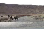 Im Hohen Atlas Eine Gruppe Kameltreiber überquert einen Fluss im Hohen Atlas