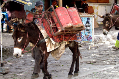 Esel mit Träger mit Gasflaschen gefüllt in einer Gasse in Chefchaouen
