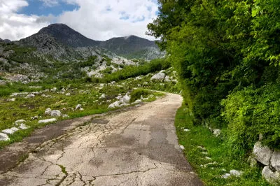 Blick zurück: Diese Straße hinunter nach Risan ist der Hit! Die Ausblicke auf die Bucht von Kotor - unbezahlbar! Schlechte Straße mit grünem Randbewuchs auf Berge zu führend