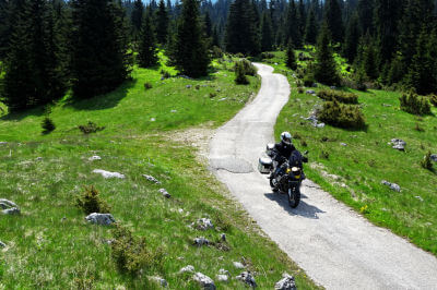 Motorrad fährt auf schmaler Straße durch grüne Hügellandschaft teils mit Wald