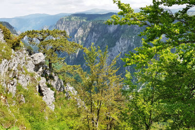 Die Sušica-Schlucht mit steil abfallenden bewaldeten Hängen