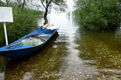 Blaues langes Ruderboot liegt im Regen am bewaldeten Ufer des Skadarsee