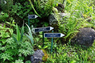 Hinweisschilder auf Pflanzensorten im grünen botanischen Garten von Kolasin