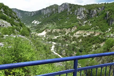 Blick von einer Brücke mit blauem Geländer auf Tal mit Fluss