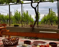 Zum Frühstück an die Weinreben. Gut möglich im Farmhouse Vrzina in Godinje.