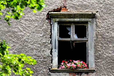 Detailaufname von Fenster ohne Glas aber mit Blumen von Burg Scharfeneck