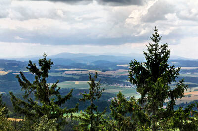 Panoramablick über Tannen auf Tal