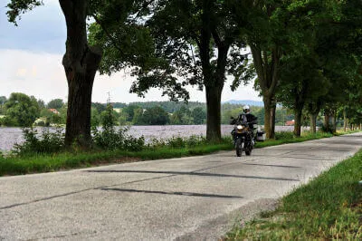 On the road again Motorrad fährt auf Betonpiste zwischen am Straßenrand stehender Bäume