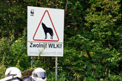 Schild mit der Aufschrift Achtung Wildtiere