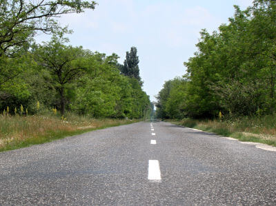 Gerade Straßen durch Wald in Ungarn.