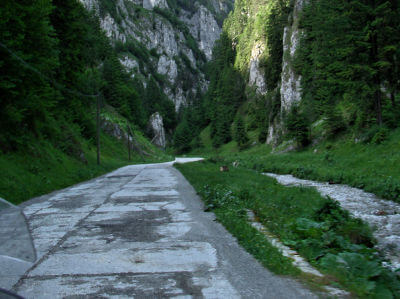 Straße führt in eine Schlucht bei der Dâmboviciaora-Höhle