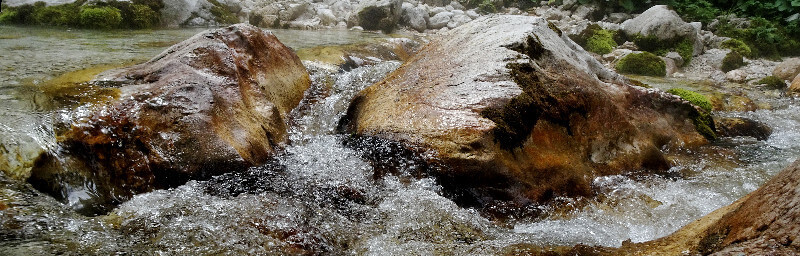 Von Wasser umspülte Felsbrocken im Flußbett der Soča.