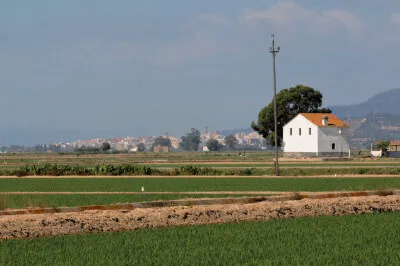Die völlig ebene Landschaft im Ebro-Delta wird von Gemüsefeldern, Obsthainen und besonders von ausgedehnten Reisfeldern geprägt. Völlig ebene Landschaft im Ebro-Delta mit Haus und Strommast