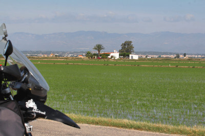 Blick über Reisfelder im Ebro-Delta