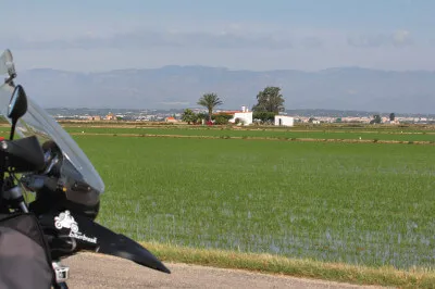 Auf einer Fläche von 20.000 Hektar wird im Ebro-Delta Reis angebaut und damit deckt man 95% des spanischen Reisbedarfs. Blick über Reisfelder im Ebro-Delta