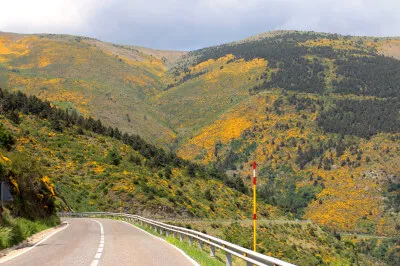 Motorradtraum in den Pyrenäen / Collada de Toses: 40 - in Worten VIERZIG! - Kilometer Kurven! Der Collada de Toses führt teilweise durch Ginster und kleinwüchsige Büsche
