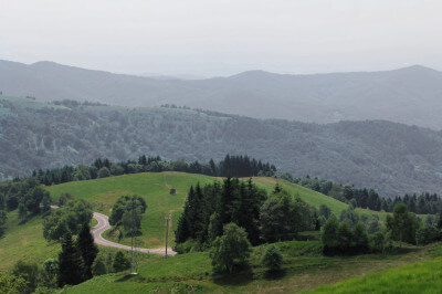 Blick in die hügelige bewaldete Landschaft um den Mottarone