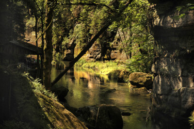 Fluss im Wald in der wilden Klamm