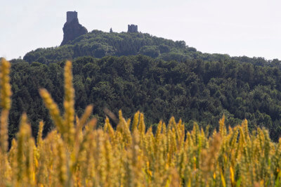 Blick auf die auf einem bewaldeten Hügel liegende Burg Trosky