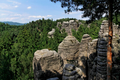 Panoramablick über die bewaldete Gegend der Prachover Felsen