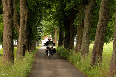 Motorrad fährt eine Allee entlang