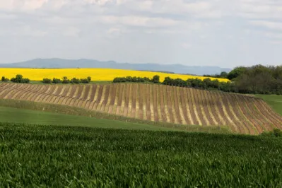 Solch eine farbenfrohe Mai-Landschaft wird nur von Landschaft in Herbstfärbung getoppt.