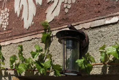 Die Weinkeller sind jetzt im Mai verlassen, es gibt wohl kaum was zu tun in dieser Jahreszeit.