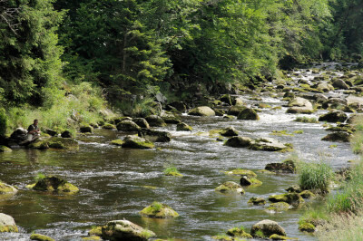 Blick auf große Stein mitten im Fluß Vydra