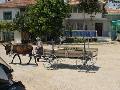 Frau auf Eselkarren fährt durch ein Dorf