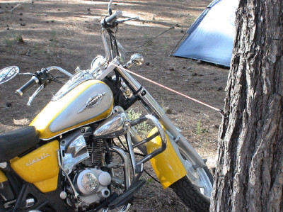Gelbes Motorrad steht an Baum und ist verbunden mit einem Gummispanner