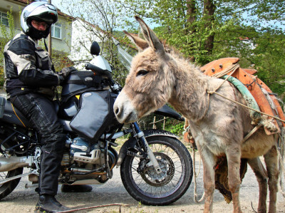 Motorrad steht bei einem Esel