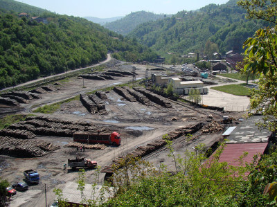 Blick auf ein Gelände mit gestapelten Holzstämmen in Zonguldak